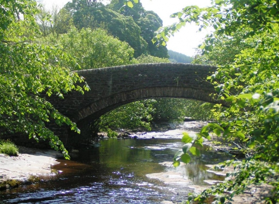 Dent_Station_Bridge2