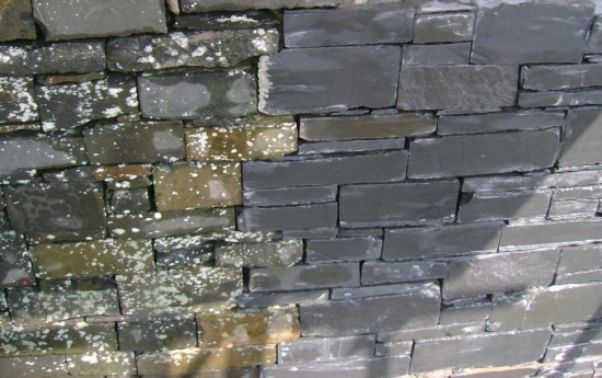 Grizedale Visitor Centre